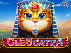 Best online free casino slots11